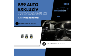 10 db T10 W5W LED beltéri csomag